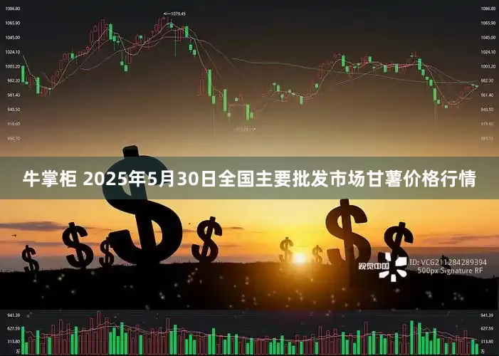 牛掌柜 2025年5月30日全国主要批发市场甘薯价格行情