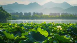 声优配音 苏州慕天取得基于高频数字阀的汽车碰撞试验台制动系统专利，保证碰撞测试的准确性