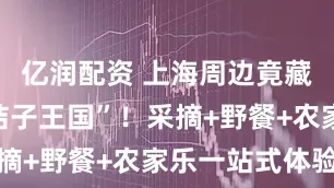 亿润配资 上海周边竟藏着一个“桔子王国”！采摘+野餐+农家乐一站式体验