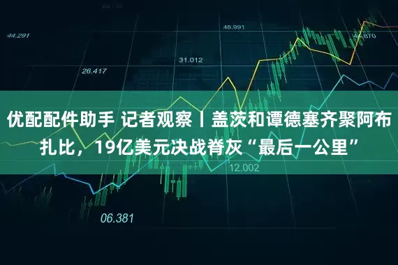 优配配件助手 记者观察丨盖茨和谭德塞齐聚阿布扎比，19亿美元决战脊灰“最后一公里”